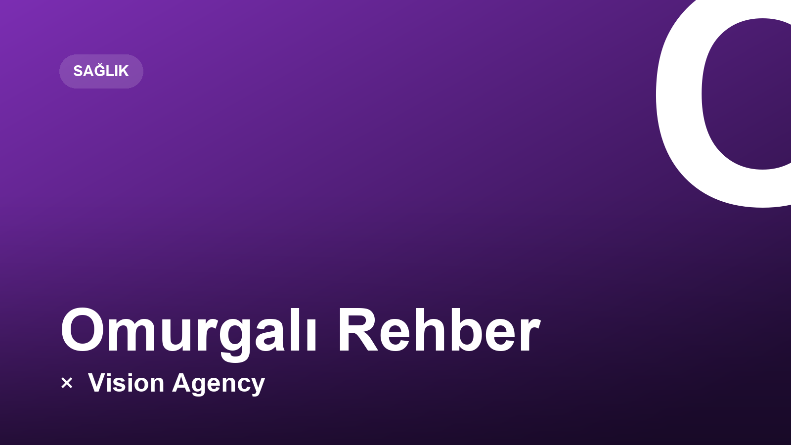 Omurgalı Rehber × Vision Agency